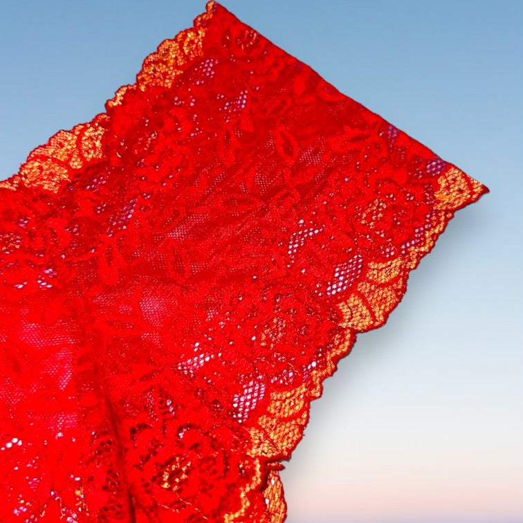 Y2K Sheer Shimmer Lace Booty Short Panty | Red Hot