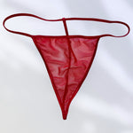 Red-Hot Sheer Mesh G-String Thong Panty Y2K Valentines Lingerie - Dainty Coquette