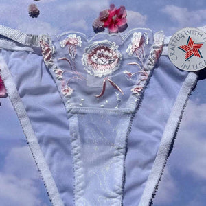 Embroidered Sheer Bikini Panty | White & Pastel Pink