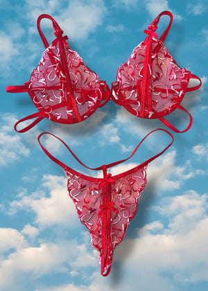 Y2K Red Cutout Sheer Lace Lingerie | Coquette Bra Panty Set